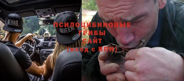амф Богданович