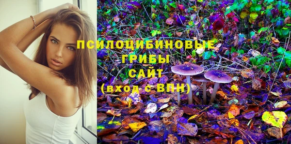 MDMA Богородицк