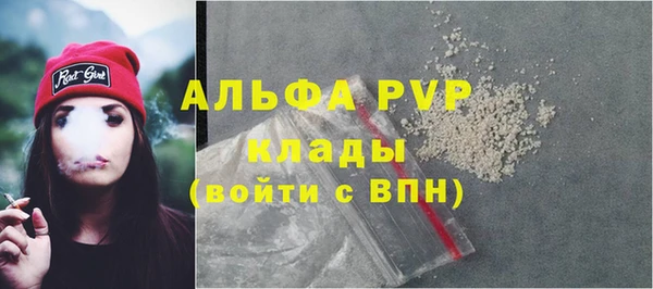 крисы Богородск