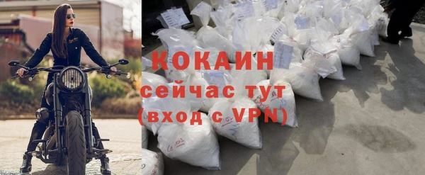 амф Богданович